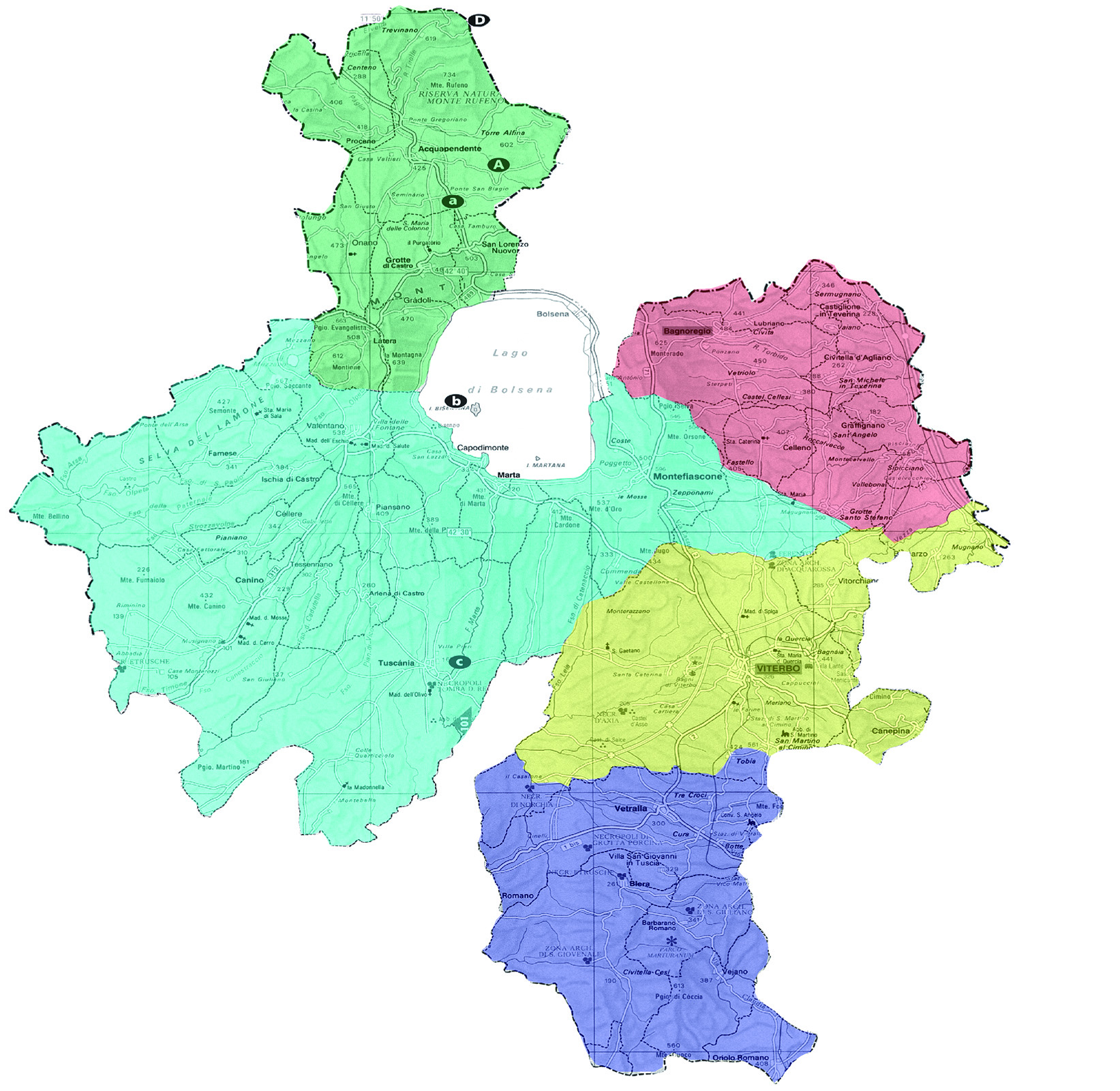 Organizzazione Pastorale della Diocesi